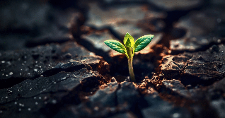 Apresentar os passos para evoluir nos níveis de consciência.