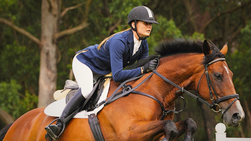 O Domínio Interior: quando você aprende a guiar a emoção