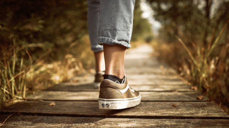 Quando a Vida Entra em Suspensão: A Estrutura Oculta da Resistência ao Próprio Caminho